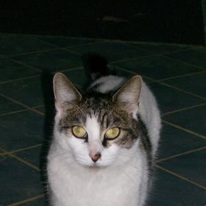 Meet your Posher, Cathy